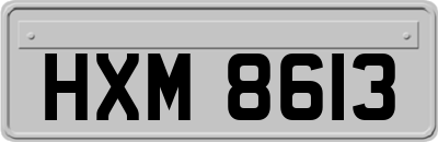 HXM8613
