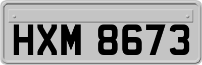 HXM8673