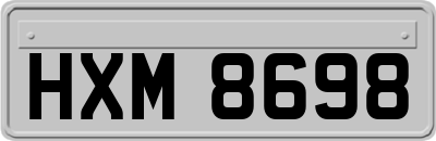 HXM8698