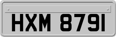 HXM8791