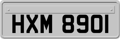 HXM8901
