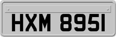 HXM8951
