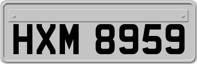 HXM8959