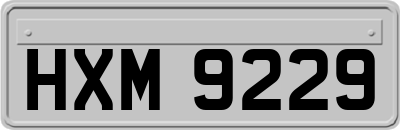 HXM9229