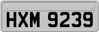 HXM9239