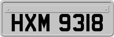HXM9318