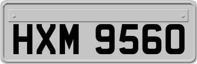 HXM9560