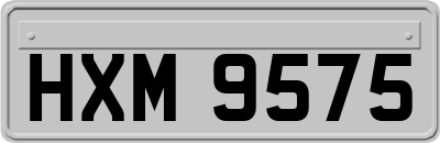 HXM9575