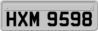 HXM9598