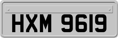 HXM9619
