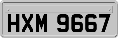 HXM9667