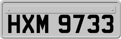 HXM9733