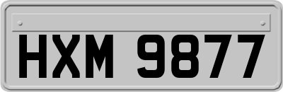 HXM9877