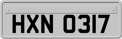 HXN0317