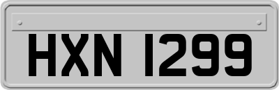 HXN1299