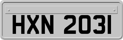 HXN2031