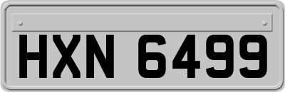 HXN6499