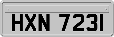 HXN7231