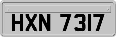 HXN7317
