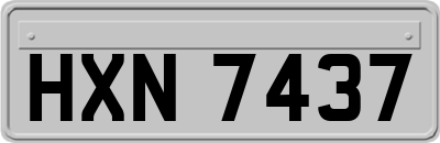 HXN7437