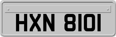 HXN8101