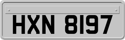 HXN8197