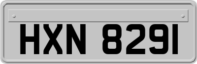 HXN8291