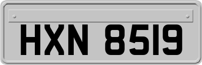 HXN8519