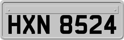 HXN8524