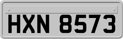 HXN8573