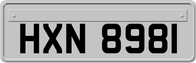 HXN8981