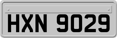 HXN9029
