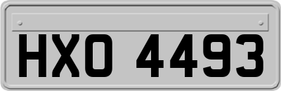 HXO4493