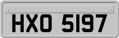 HXO5197