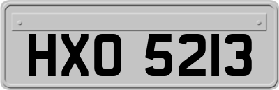 HXO5213