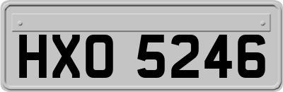 HXO5246