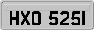HXO5251