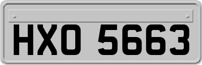 HXO5663