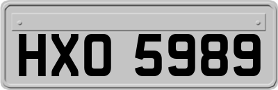 HXO5989