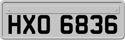 HXO6836