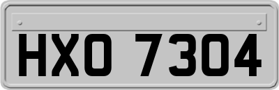 HXO7304