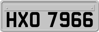 HXO7966
