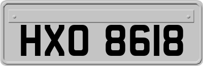 HXO8618