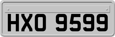 HXO9599