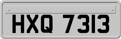 HXQ7313