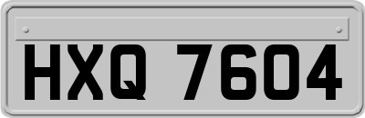 HXQ7604