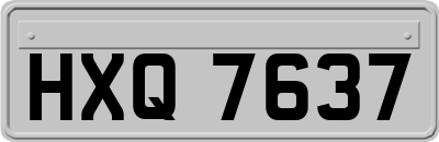 HXQ7637