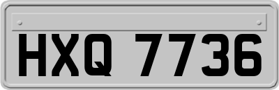 HXQ7736