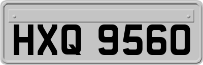 HXQ9560