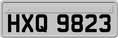 HXQ9823
